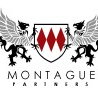 Montague Partners - Adelaide Accountant