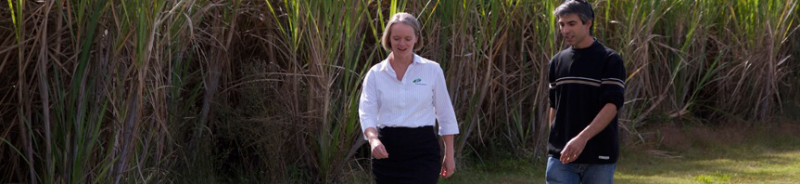 Maclean NSW Adelaide Accountant