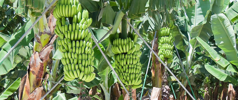 Hogan & Associates CPA - Adelaide Accountant 2