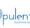 Opulento Business Services - Adelaide Accountant