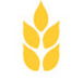 Gibson  Co - Adelaide Accountant