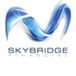 Skybridge Financial - Adelaide Accountant 0