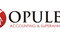 Opulen Accounting & Superannuation - thumb 0