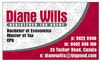 Diane Wills - Adelaide Accountant 0