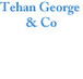 Tehan George  Co - Adelaide Accountant