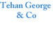 Tehan George & Co - Adelaide Accountant 0
