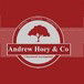 Andrew Hoey  Co