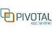 Pivotal Accounting - thumb 0