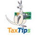 Tax Tips Campbelltown - Adelaide Accountant 0