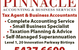 Pinnacle Accounting & Business Services - thumb 2
