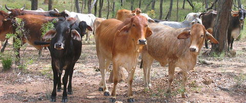 Hogan & Associates CPA - Adelaide Accountant 6