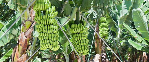 Hogan & Associates CPA - Adelaide Accountant 8