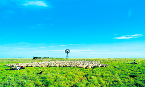 Connole Carlisle Chartered Accountants - Adelaide Accountant 6