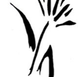 Bloomfield  Associates - Adelaide Accountant