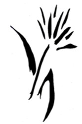 Bloomfield & Associates - Adelaide Accountant 0