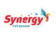 Synergy - thumb 0