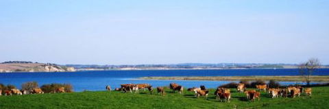 Julie Meek - Rural Bookkeeping Service - Adelaide Accountant 1