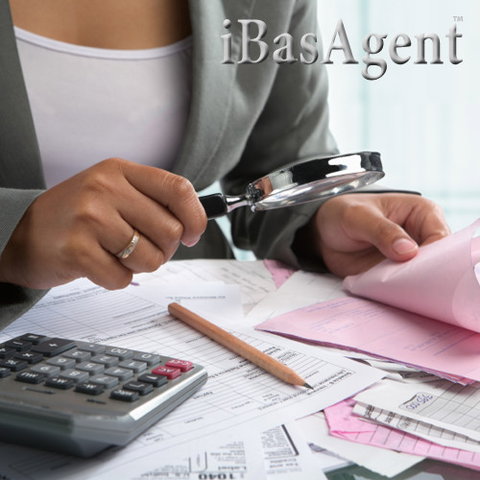 IBasAgent - Adelaide Accountant 1