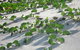 Beachside BAS Consultant - thumb 4