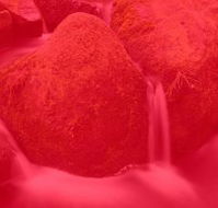 RedFrog Bookkeeping - Adelaide Accountant