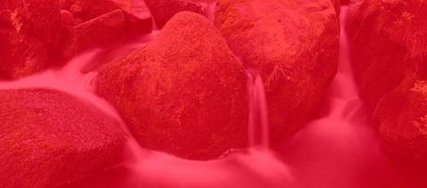 RedFrog Bookkeeping - Adelaide Accountant 0
