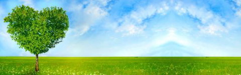 BBS - Business Bookkeeping Solutions - Adelaide Accountant 3