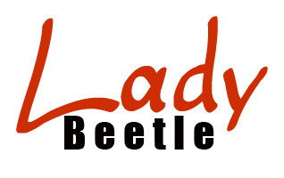 Lady Beetle Business Solutions - Adelaide Accountant 0