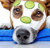 Pretax Bookkeeping Services - Adelaide Accountant