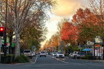 Accountant Listing Partner Wagga Wagga Accommodation
