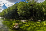 Accountant Listing Partner Accommodation Daintree