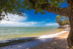 Accountant Listing Partner Whitsundays Tourism