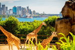 Accountant Listing Partner Attractions