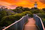 Accountant Listing Partner Tourism TAS