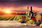 Accountant Listing Partner Winery Find