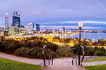 Accountant Listing Partner Tourism Bookings WA