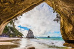 Accountant Listing Partner Tourism Live