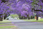 Accountant Listing Partner Grafton Accommodation