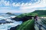 Accountant Listing Partner Phillip Island Accommodation