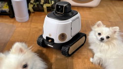 AI robot may stop your dog from barking while you're gone Adelaide Accountant