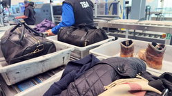 Airport X-ray reveals shocking illegal stash concealed beside passenger's Xbox Adelaide Accountant