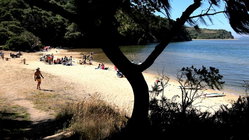 Deadly mystery unfolds as canoeists are found unresponsive after midnight trip Adelaide Accountant