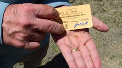 Grandfather finds hidden treasure in plain sight as park officials 'dumbfounded' by discovery Adelaide Accountant