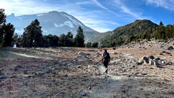 Mount Shasta climber recounts harrowing 500-foot slide, overnight crawl to safety: report Adelaide Accountant