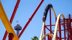 Popular amusement park bans guest for life after roller coaster stunt viral video Adelaide Accountant